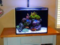 Wicked Aquariums .
